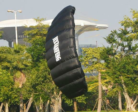 High quality power kite,foil kite,train kite 3