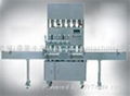 Automatic Paste Filling Machines 2