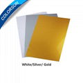 Instant PVC/PET Card - Gold Color 