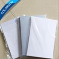 Instant PVC/PET Card - Silver Color