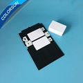 Plastic Magnetic Stripe Blank PVC Card