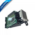 Original and New  for Epson F056030 DX2