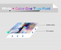 3060 UV Plus Flatbed Inkjet Printer for Wood Bottle Phone Case 10