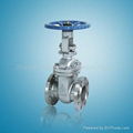 WCB Gate valve RF