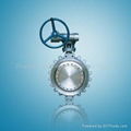 Lug butterfly valve