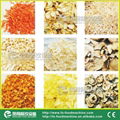 Vegetable and Fruit Drying Machine 4
