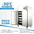 -90℃ Blast freezer 2