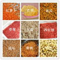 CD-800  Vegetable Dicing Machine  6