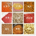 CD-800  Vegetable Dicing Machine Coconut Slicing Machine 4