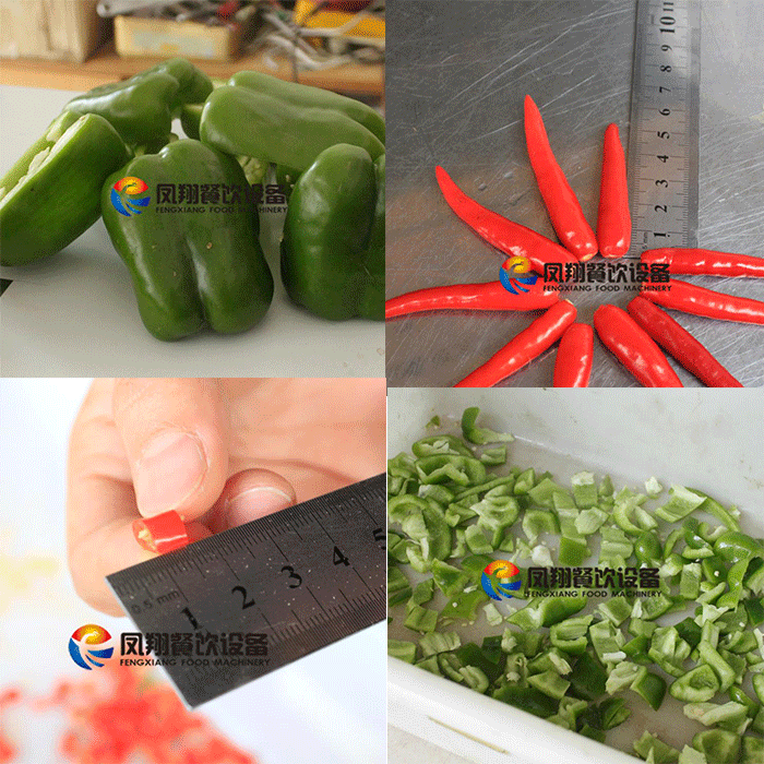 FC-305 Single head double variable frequency vegetable cutter 4