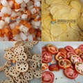  FC-312 Vegetable Slicing Cutting Dicing Machine 5