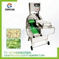 FC-306 Large vegetable cutting machine