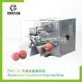 FXP-22  Apple peeling and coring machine
