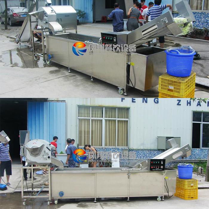 Korea vegetable cubing cleaning production line 4