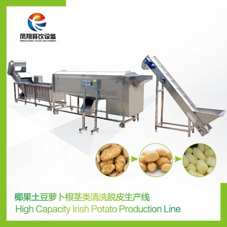 Rhizome cleaning and desquamate production line 2