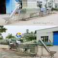 Rhizome cleaning and desquamate production line