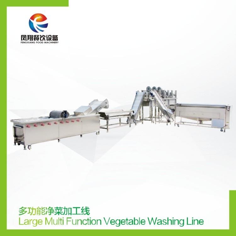 Multifunctional vegetable processing line