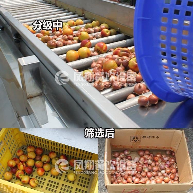 Vegetable Sorting Machine Sorter Fruit Sorting Grading Machine 5