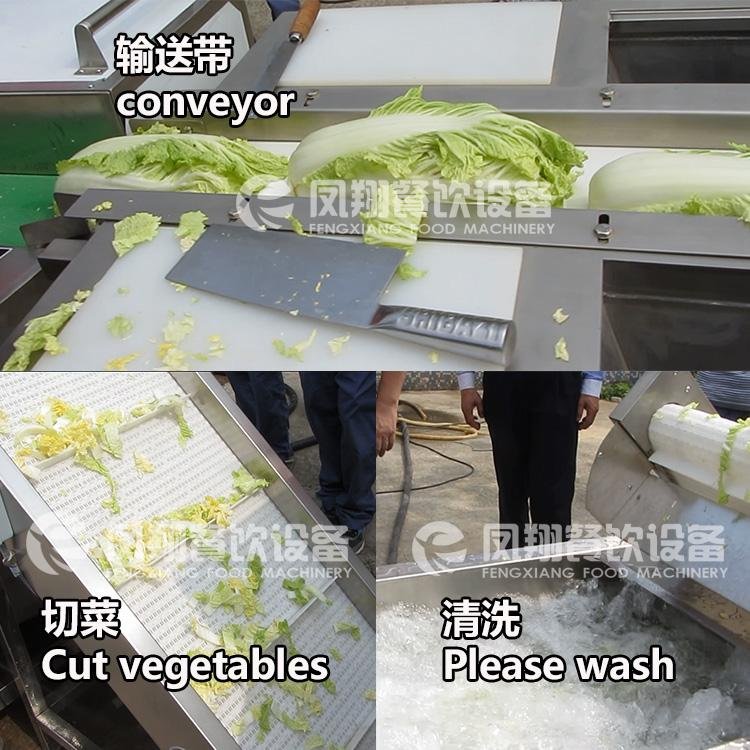 Vegetable washing line 2