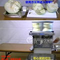  RC-80C Vegetable shredder 2