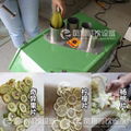 FC-311 Vertical  vegetable cutter 6