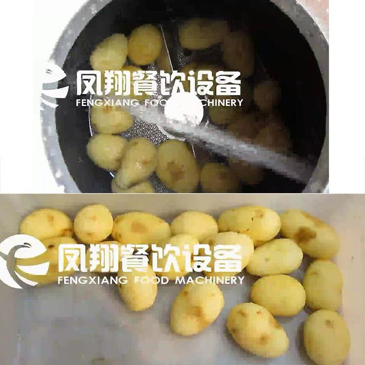 FZ-200 Automatic Potato Peeler  3