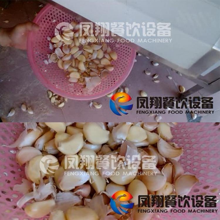  FX-139 Garlic Separating Machine 5
