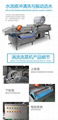 XWA-1300 Vegetable Washing Machine Automatic Vortex Type 3000-5000kg per hour
