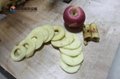 新品上市，爆品來襲—鳳翔自主研發新產品：蘋果削皮切圈機