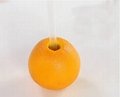 橙汁机 原只橙子水果打汁 原汁原味 桌上型 3