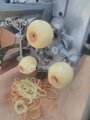 FXP-22  Apple peeling and coring machine 5