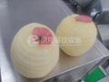 FXP-22  Apple peeling and coring machine 6