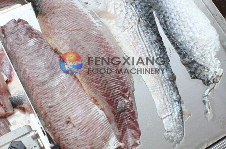 FGB-270 Fish Skin Peeler  4