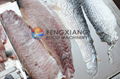 FGB-270 Fish Skin Peeler 