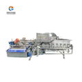 Double eddy current multi-effect vegetable cleaning production line