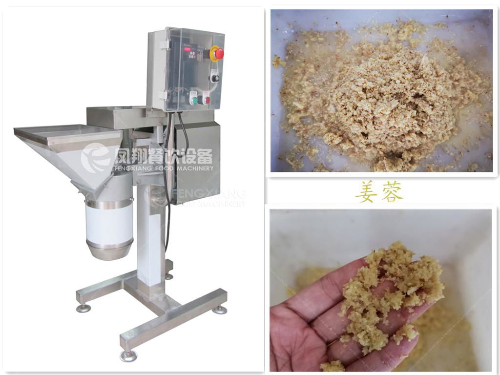 FC-307 Large - scale mashed garlic machine 5