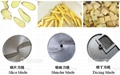  FC-312 Vegetable Slicing Cutting Dicing Machine 3