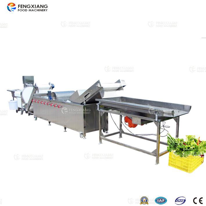 WA-2000 Vegetables Washing Machine 4