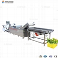 WA-2000 Vegetables Washing Machine 4