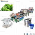 Double eddy current multi-effect vegetable cleaning production line