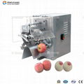 Fengxiang Apple processing Series Machinery and equipment