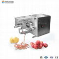 Fengxiang Apple processing Series Machinery and equipment