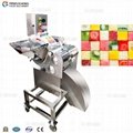 CD-800 Vegetable and Fruit Dicing Machine