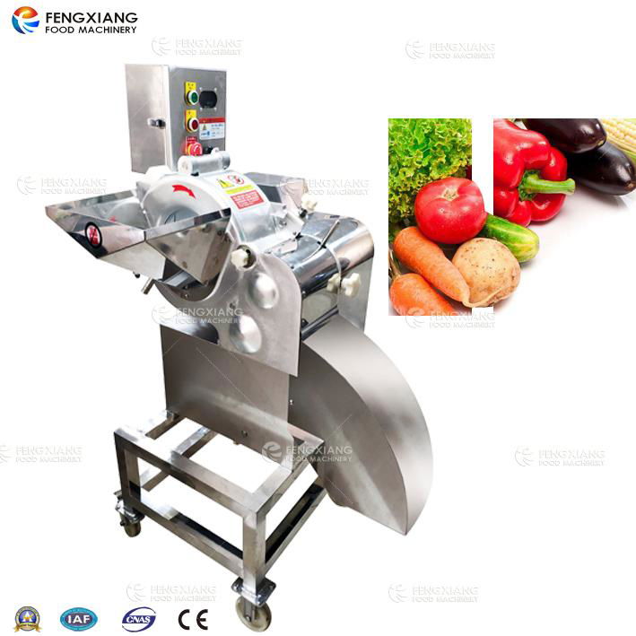 CD-800 Vegetable and Fruit Dicing Machine 2