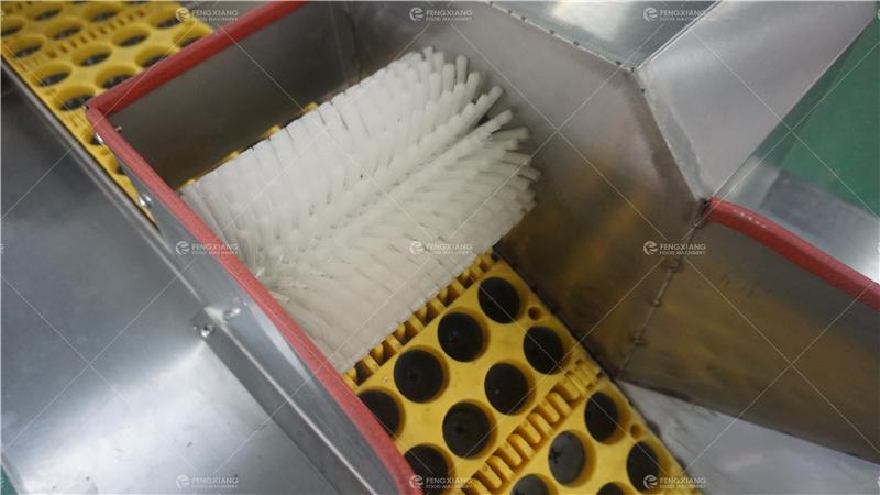 凤翔 单排李子去核机 3