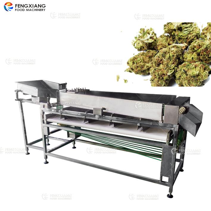 OG-303 Hemp frower Sorting Machine 2