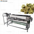 OG-303 Hemp frower Sorting Machine