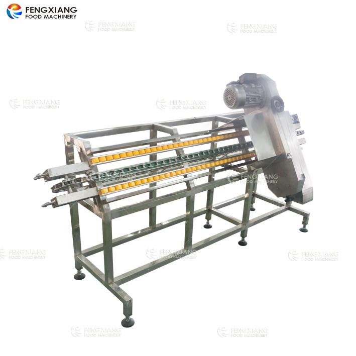 DY-I Automatic Tray Band Saw Machine Bean Sprout Heading Cutting Machine 2