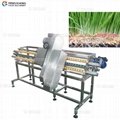 DY-I Automatic Tray Band Saw Machine Bean Sprout Heading Cutting Machine