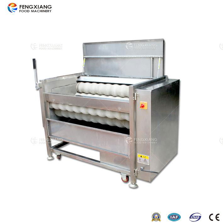 MSTP-500 Fresh washer peeler 5